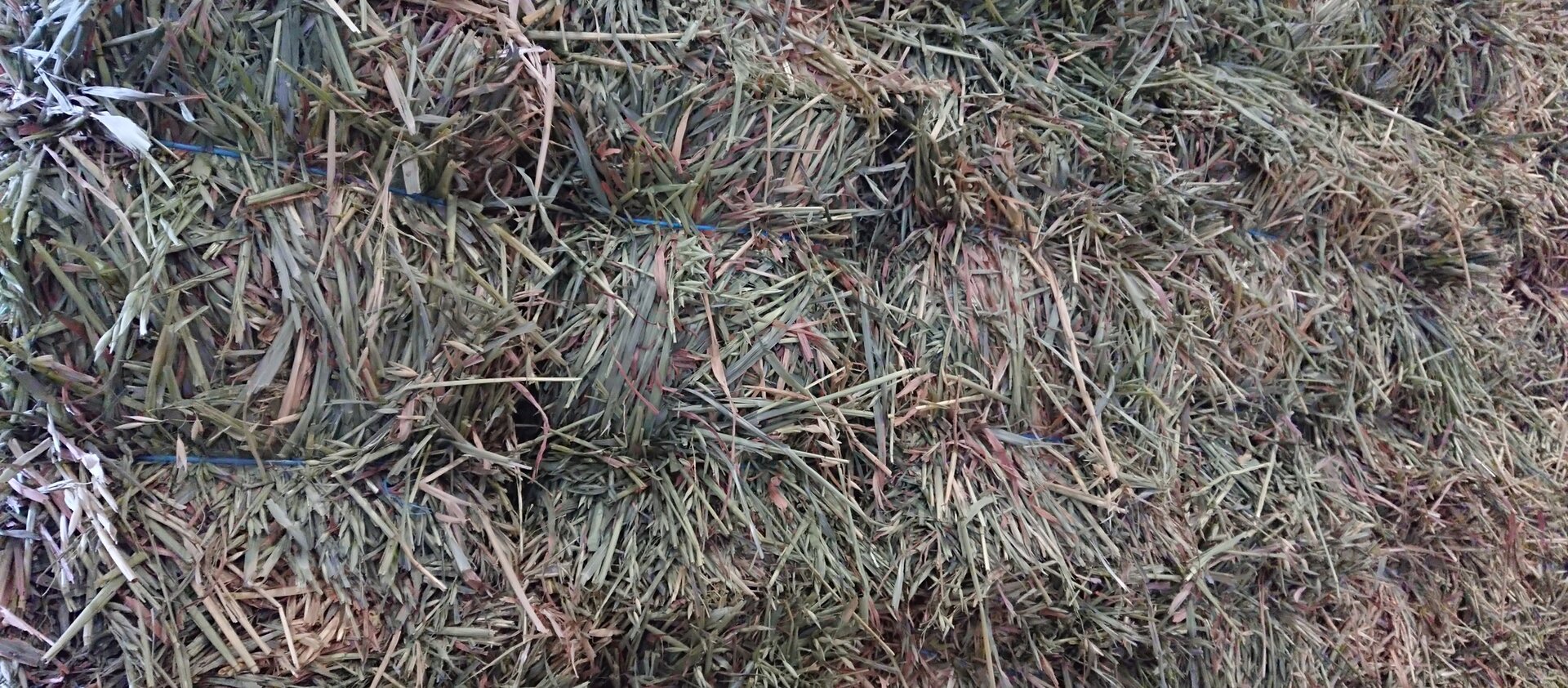 Sandhurst Stockfeeds and Pet Food Bendigo Sandhurst Stockfeeds